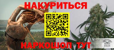 амф Обь